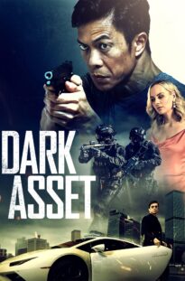 Dark Asset