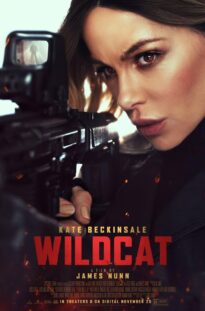 Wildcat-2025